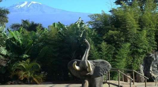Kilemakyaro Mountain Lodge Moshi Buitenkant foto